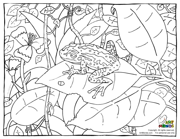Art Mends Frog Coloring Page