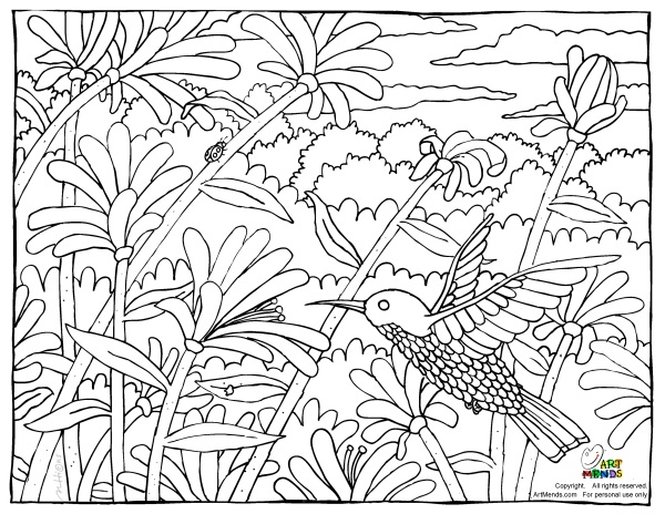 Art Mends Hummingbird Coloring Page