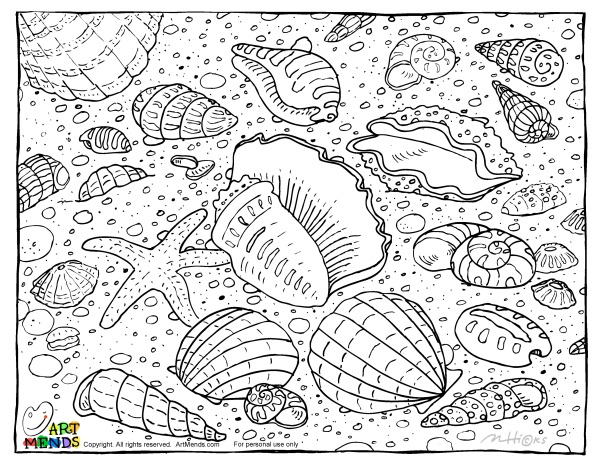 Art Mends Sea Shells Coloring Page