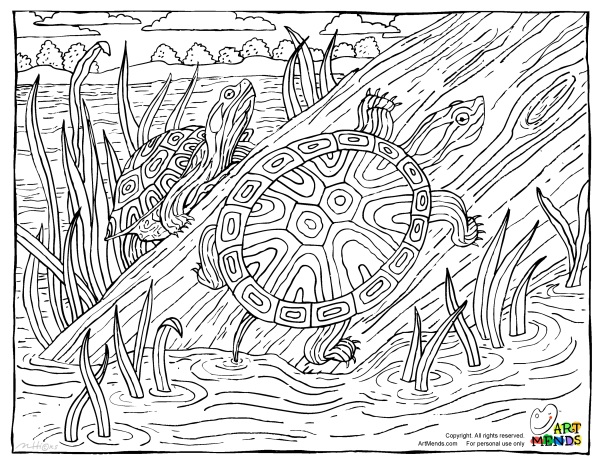 Art Mends Turtles Coloring Page